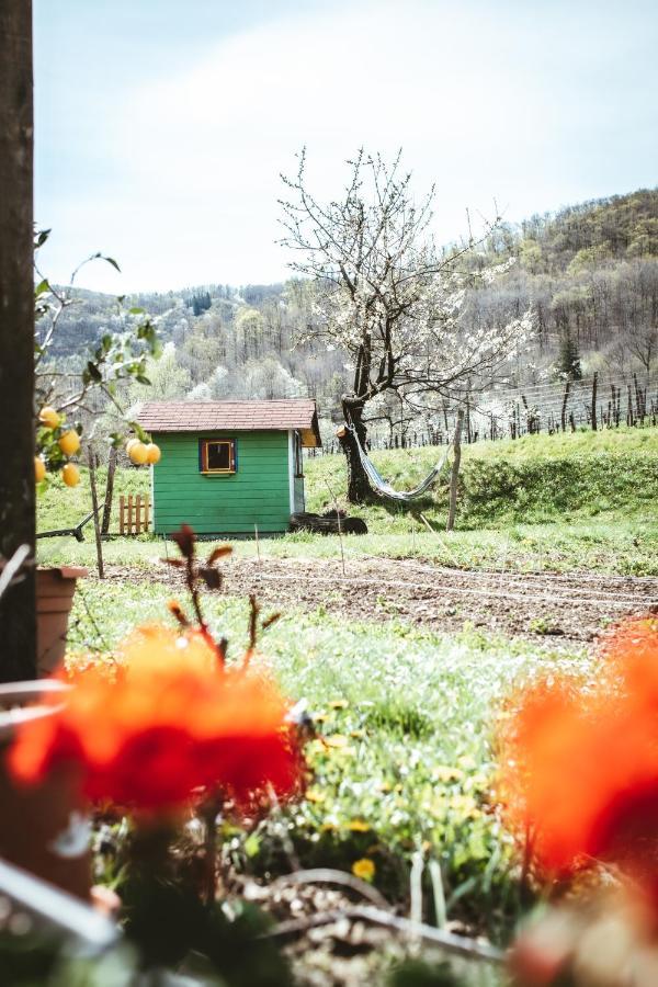 Apartma Moser Podnanos Экстерьер фото